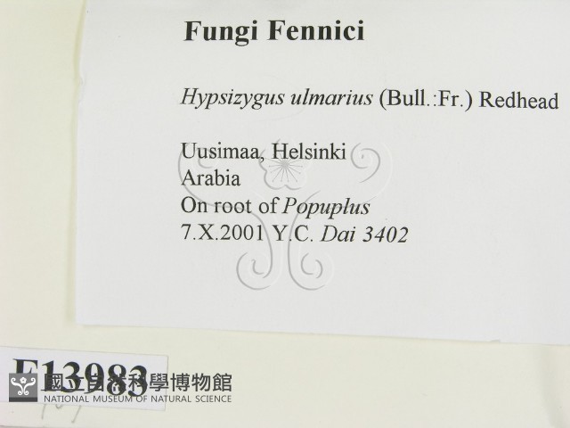登錄號:F0013983藏品圖，第2張