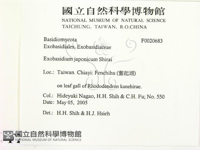 登錄號:F0020683藏品圖，第2張