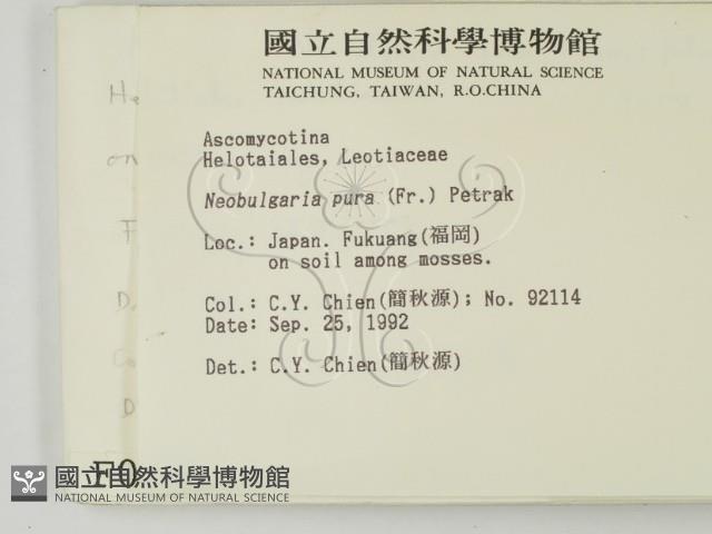 登錄號:F0000683藏品圖，第2張