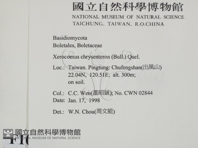 登錄號:F0010683藏品圖，第2張