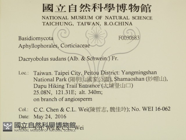 登錄號:F0030683藏品圖，第2張