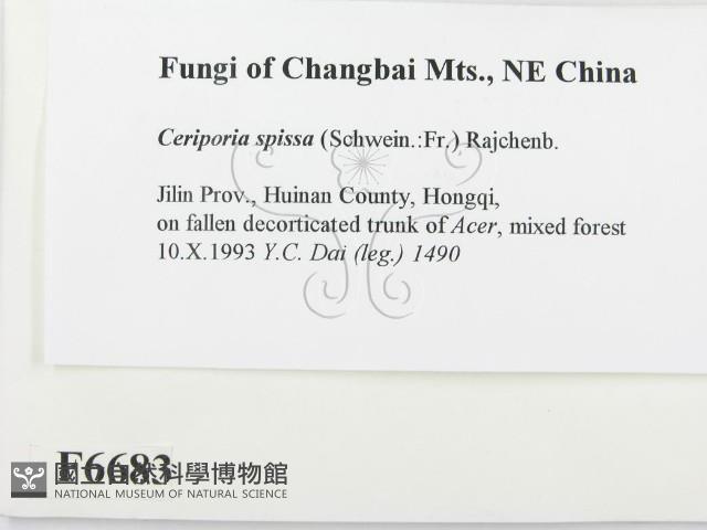 登錄號:F0006683藏品圖，第2張