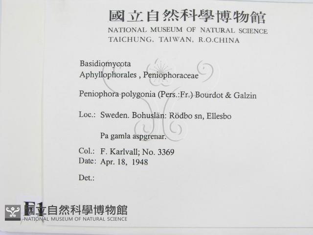 登錄號:F0016683藏品圖，第2張