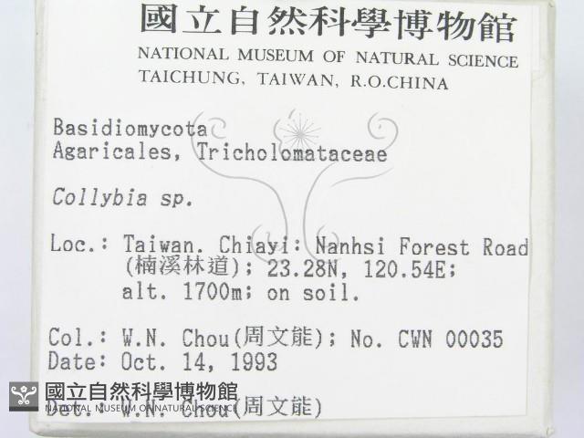 登錄號:F0001683藏品圖，第2張