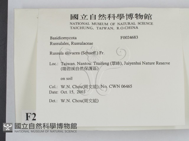 登錄號:F0024683藏品圖，第2張