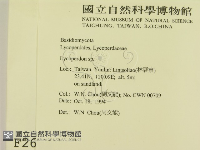 登錄號:F0002683藏品圖，第2張