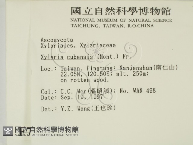 登錄號:F0007683藏品圖，第2張