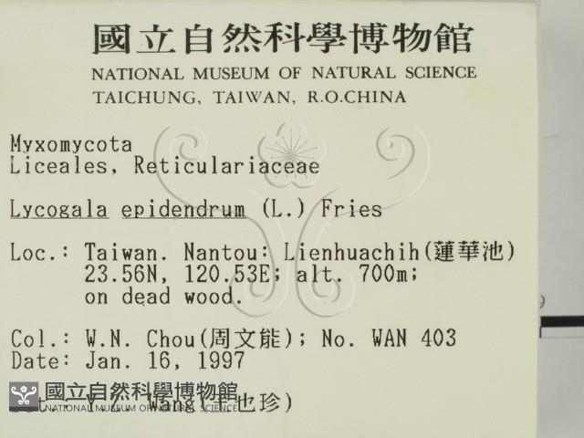 登錄號:F0005683藏品圖，第2張