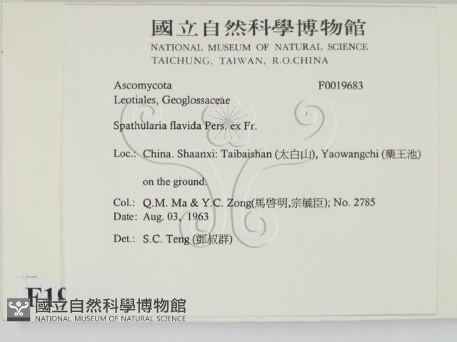登錄號:F0019683藏品圖，第2張