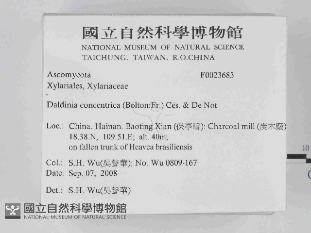 登錄號:F0023683藏品圖，第2張