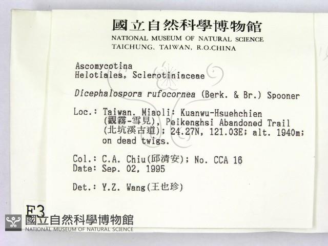 登錄號:F0003683藏品圖，第2張