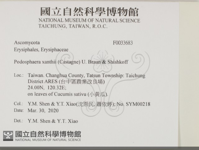 登錄號:F0033683藏品圖，第2張