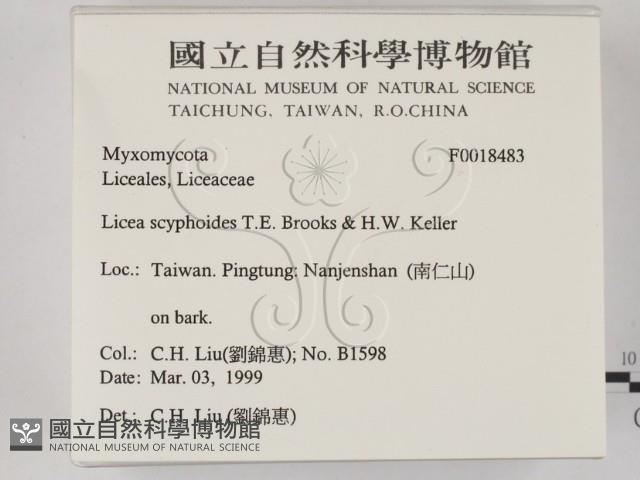登錄號:F0018483藏品圖，第2張
