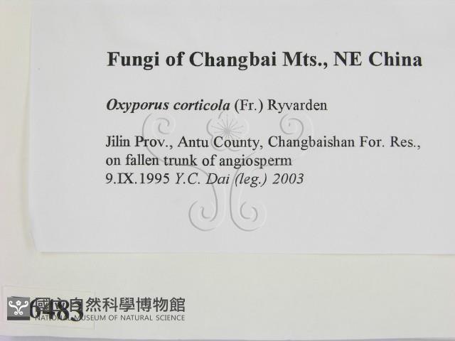 登錄號:F0006483藏品圖，第2張