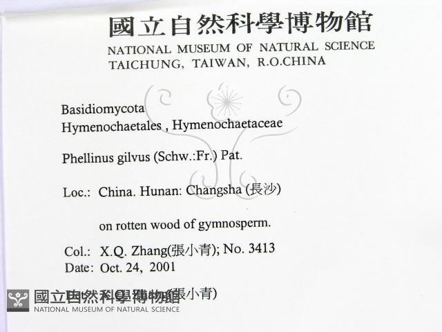 登錄號:F0016483藏品圖，第2張