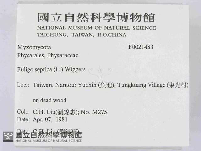 登錄號:F0021483藏品圖，第2張