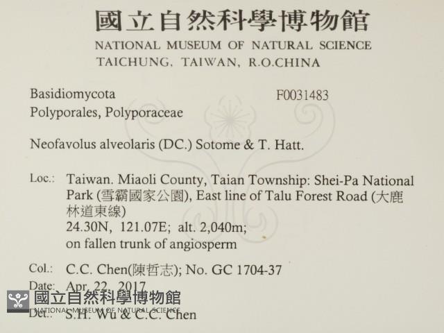 登錄號:F0031483藏品圖，第2張