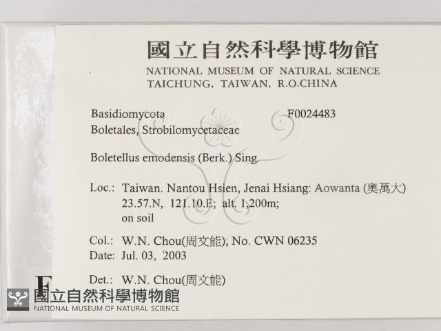 登錄號:F0024483藏品圖，第2張