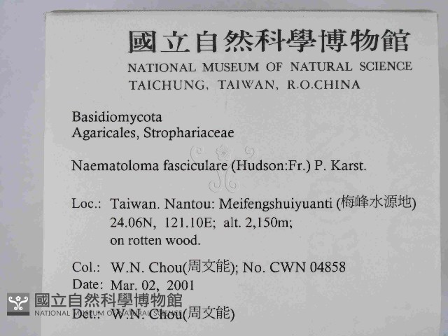 登錄號:F0014483藏品圖，第2張