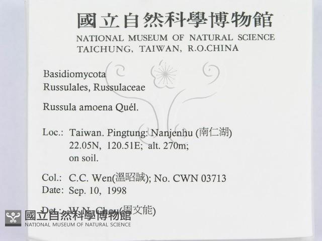 登錄號:F0012483藏品圖，第2張