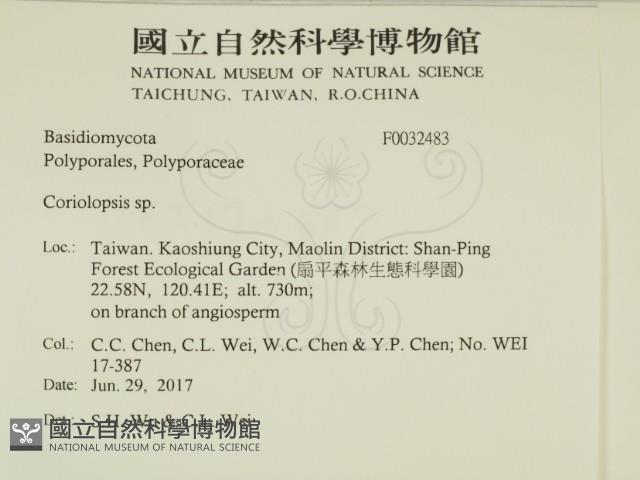 登錄號:F0032483藏品圖，第2張