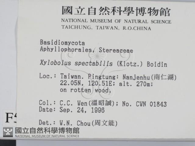 登錄號:F0005483藏品圖，第2張