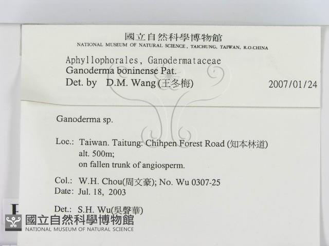 登錄號:F0015483藏品圖，第2張