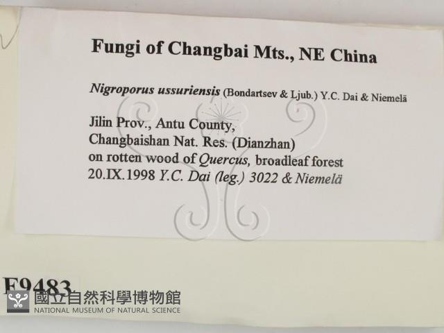 登錄號:F0009483藏品圖，第2張