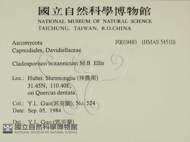 登錄號:F0019483藏品圖，第2張