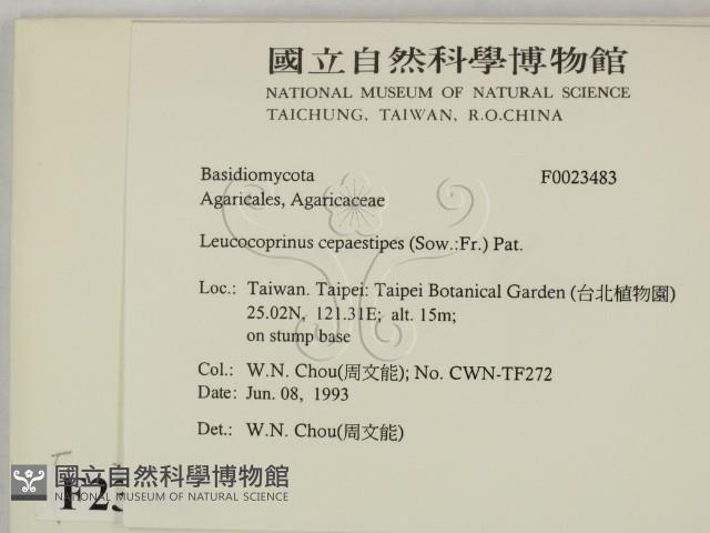 登錄號:F0023483藏品圖，第2張