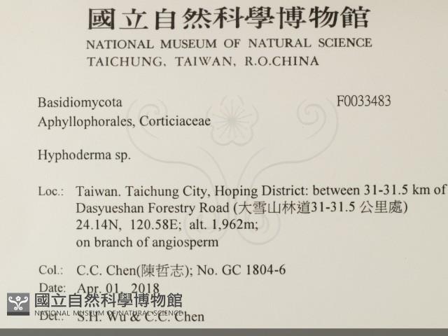 絲皮菌屬藏品圖，第2張