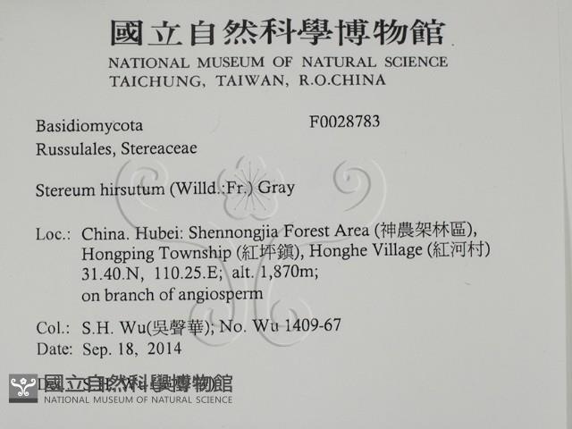 登錄號:F0028783藏品圖，第2張