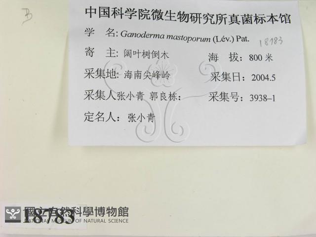 登錄號:F0018783藏品圖，第2張