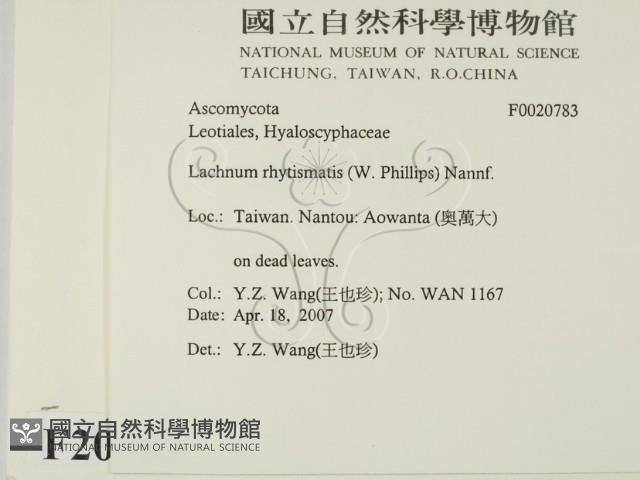 登錄號:F0020783藏品圖，第2張