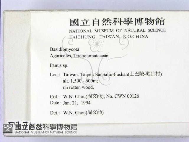 登錄號:F0001783藏品圖，第2張