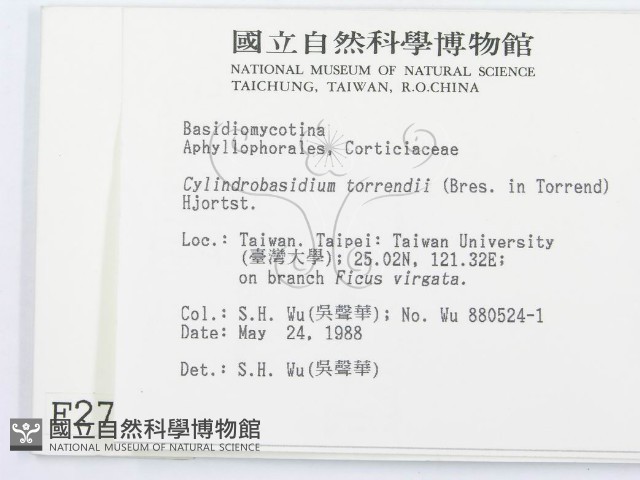 登錄號:F0002783藏品圖，第2張