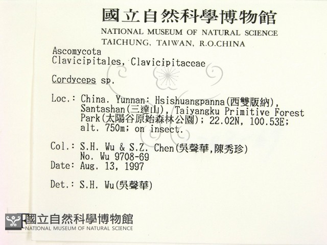 蟲草屬藏品圖，第2張