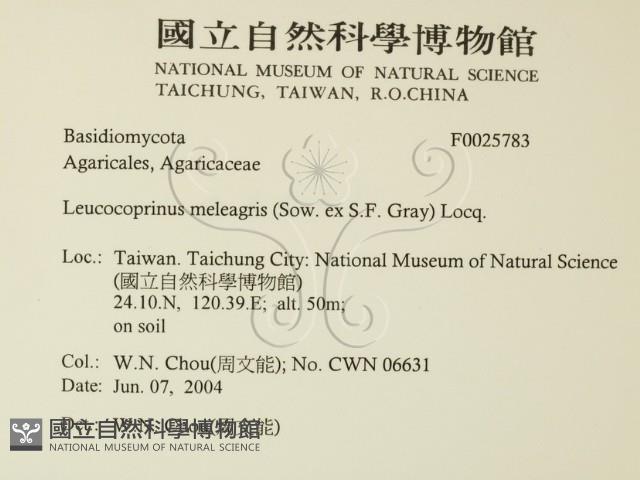 登錄號:F0025783藏品圖，第2張