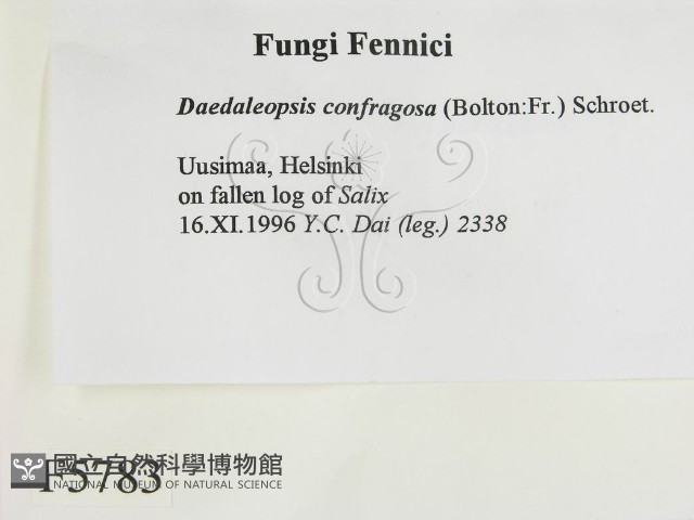 登錄號:F0005783藏品圖，第2張