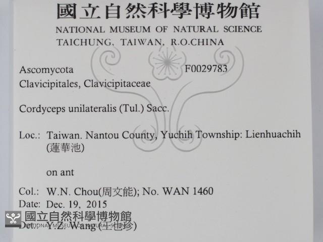 登錄號:F0029783藏品圖，第2張