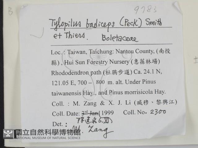 登錄號:F0009783藏品圖，第2張