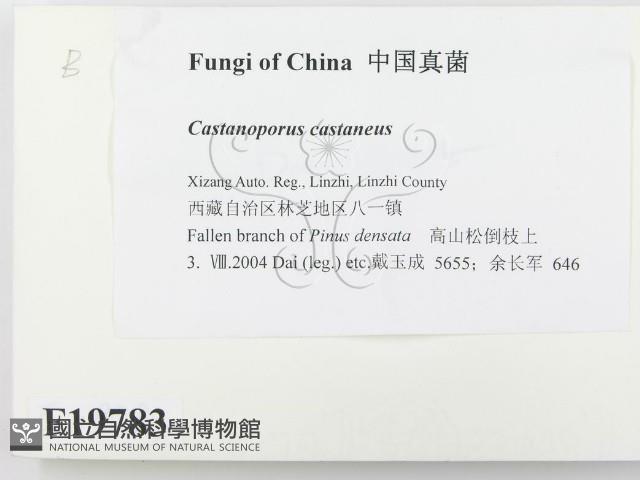 登錄號:F0019783藏品圖，第2張