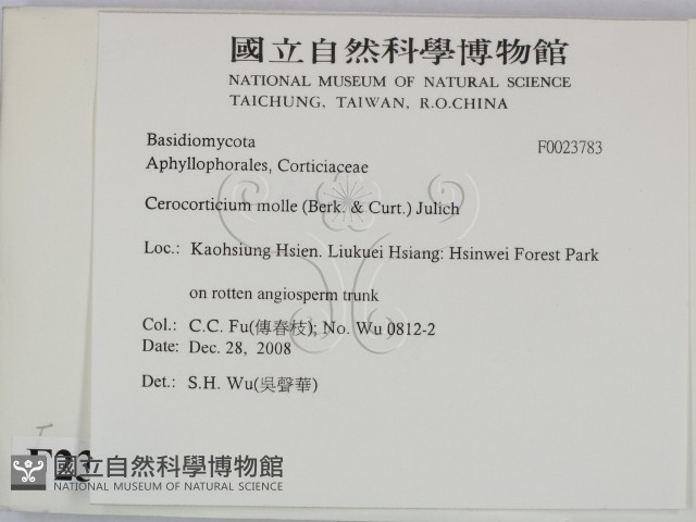登錄號:F0023783藏品圖，第2張