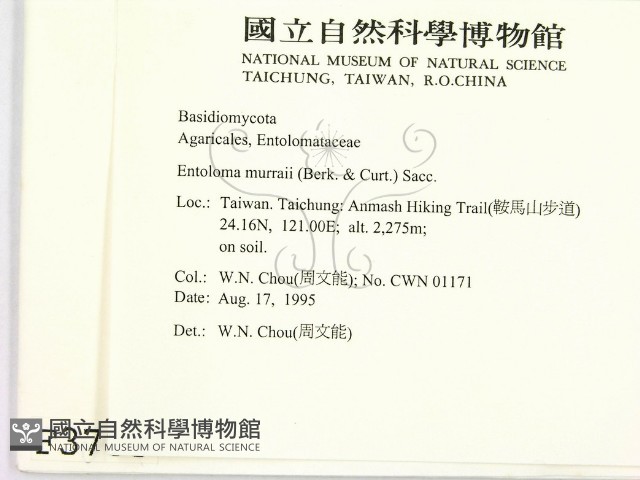登錄號:F0003783藏品圖，第2張
