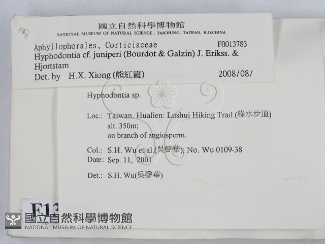 登錄號:F0013783藏品圖，第2張
