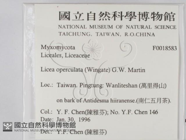 登錄號:F0018583藏品圖，第2張