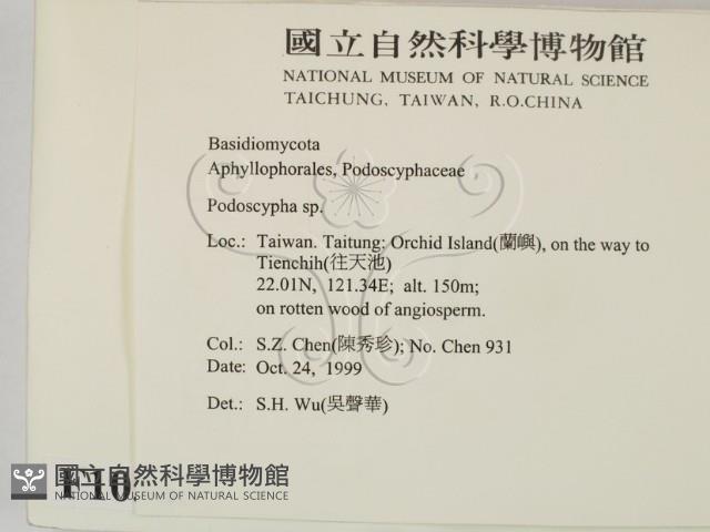 登錄號:F0010583藏品圖，第2張