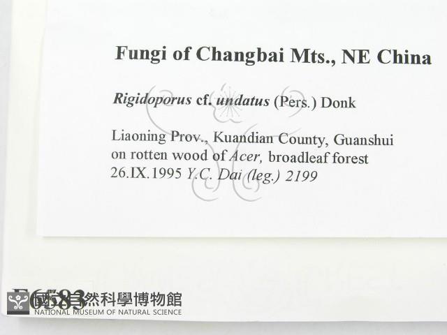 登錄號:F0006583藏品圖，第2張
