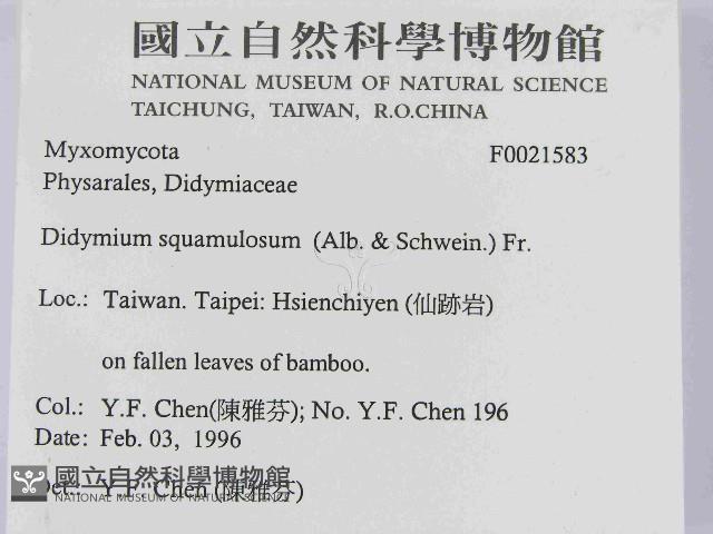 登錄號:F0021583藏品圖，第2張