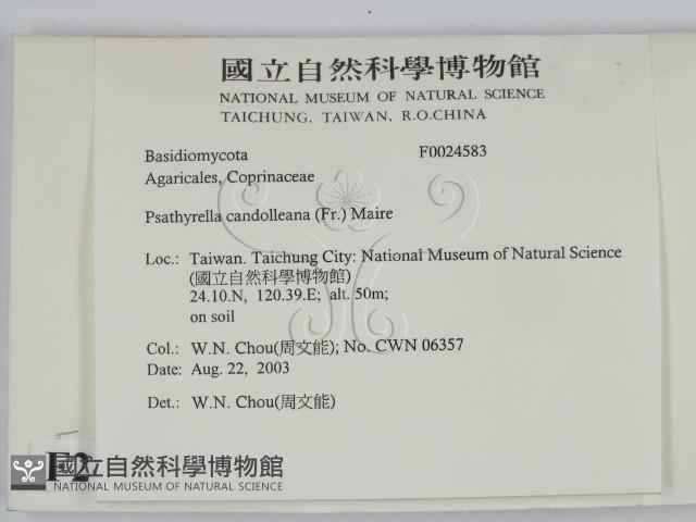 登錄號:F0024583藏品圖，第2張